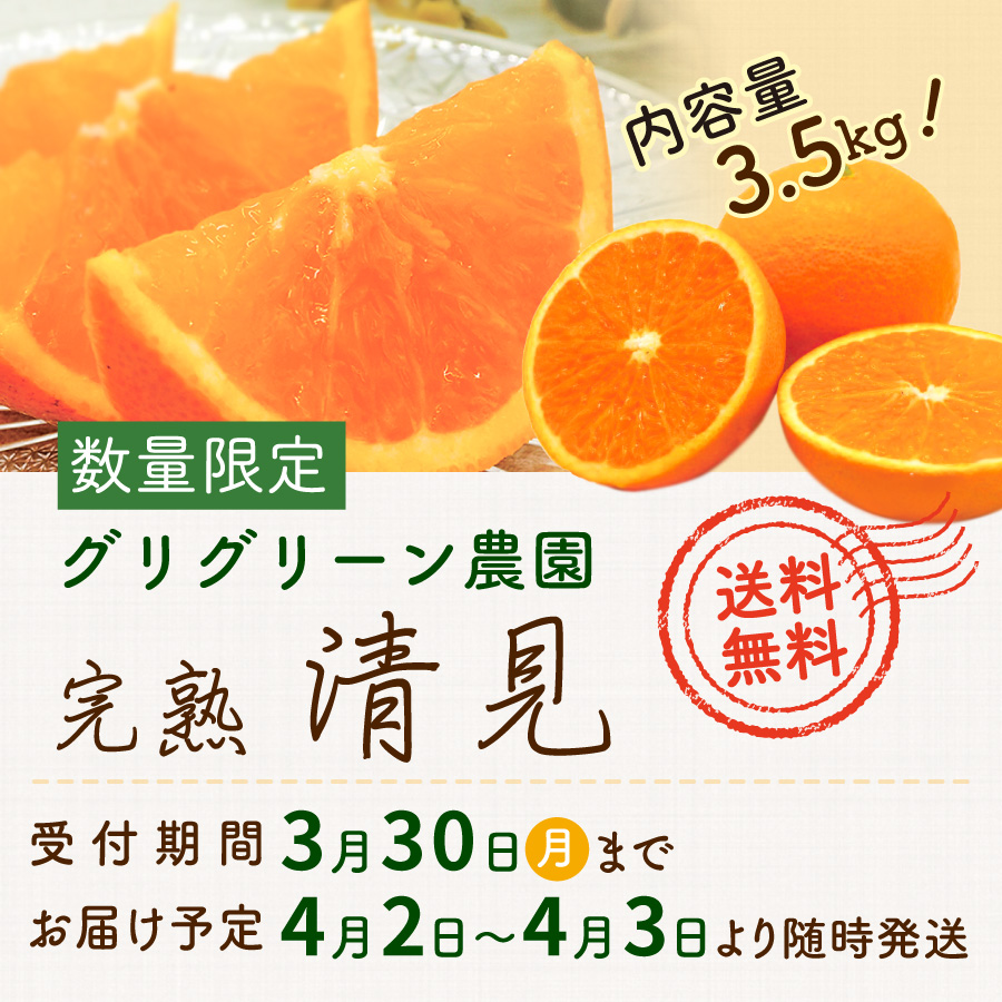 送料無料 数量限定 内容量3.5kg グリグリーン農園 清見 受付期間3月30日(月)まで お届け予定日 4月2日~4月3日より随時発送