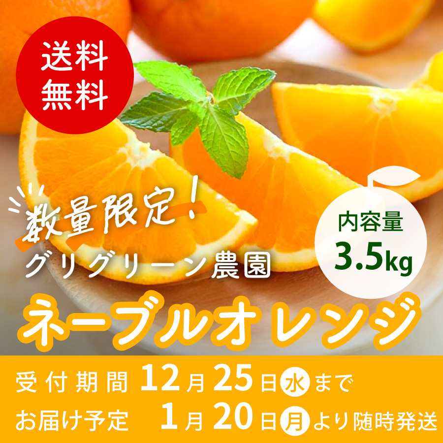 送料無料 数量限定 内容量3.5kg グリグリーン農園 ネーブルオレンジ 受付期間12月25日水まで お届け予定 1月20日月より随時発送