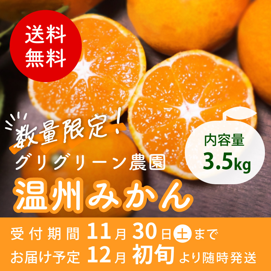 送料無料 数量限定 内容量3.5kg グリグリーン農園 温州みかん 受付期間11月30日土まで お届け予定 12月初旬より随時発送